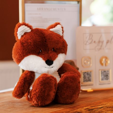 Hartslag Knuffel Robin