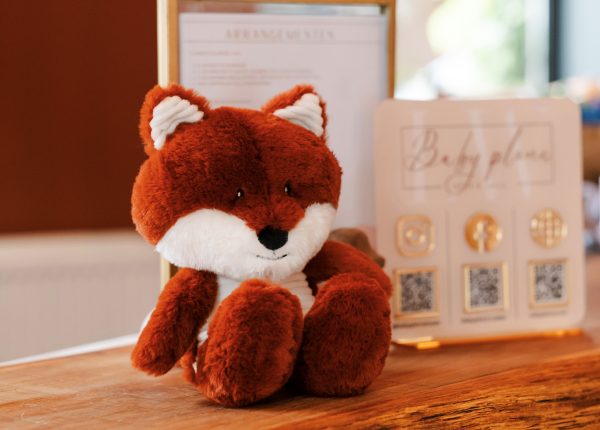 Hartslag Knuffel Robin