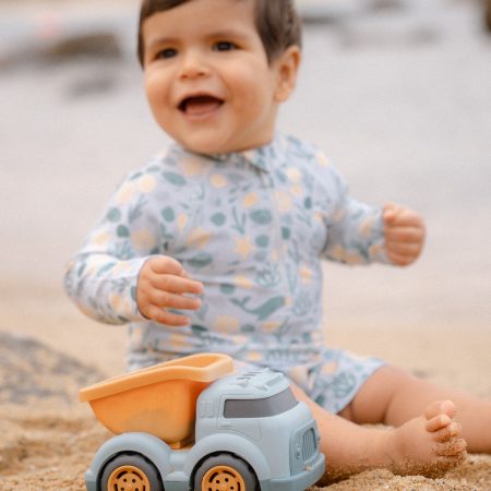 Kiepwagen little dutch