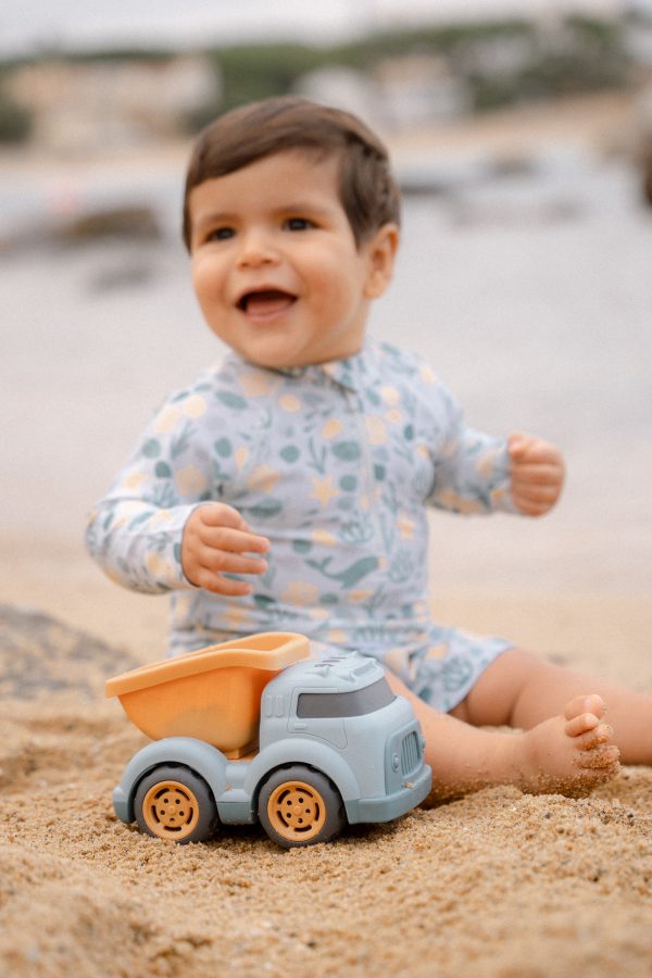 Kiepwagen little dutch