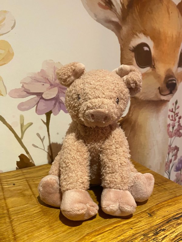 Little Dutch knuffel varken