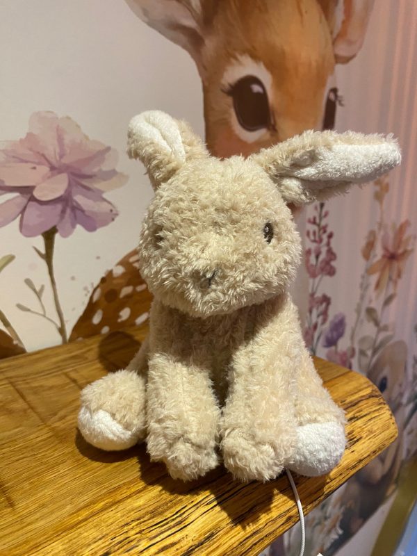 Little Dutch knuffel konijn