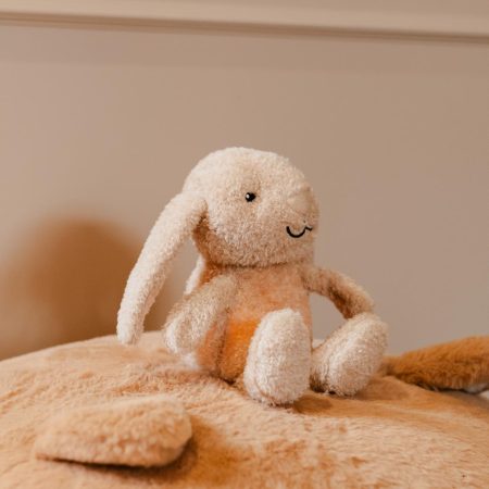 Nachtlamp Knuffel Lamp Milo
