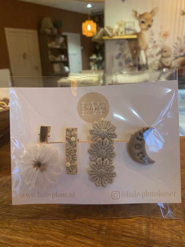 Haarknipjes set van 4