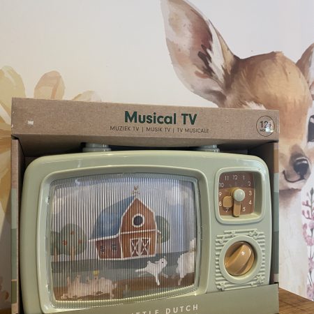 Muziek tv